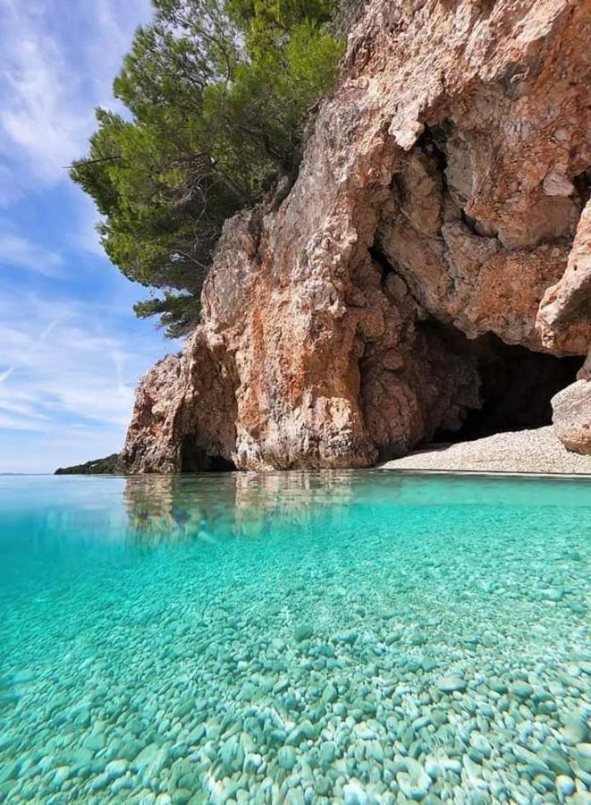 Holiday Home Perunika Zezevica Εξωτερικό φωτογραφία