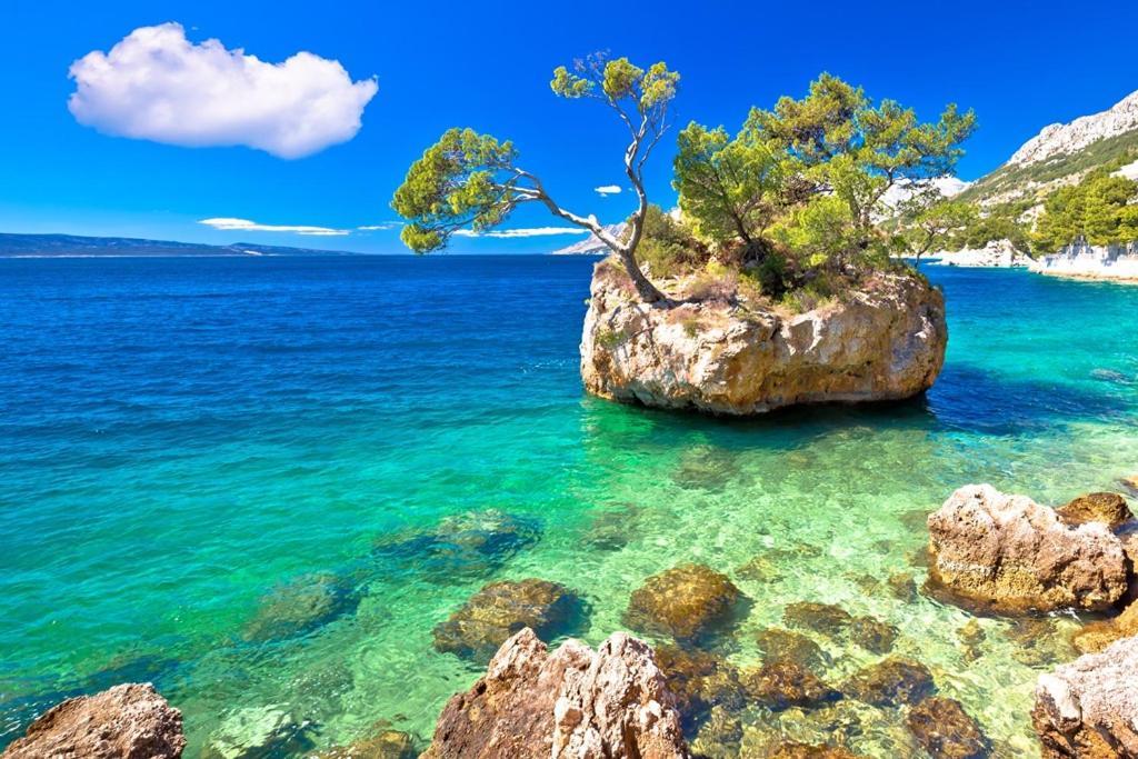 Holiday Home Perunika Zezevica Εξωτερικό φωτογραφία